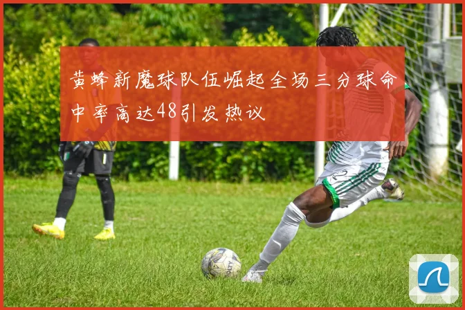 黄蜂新魔球队伍崛起全场三分球命中率高达48引发热议