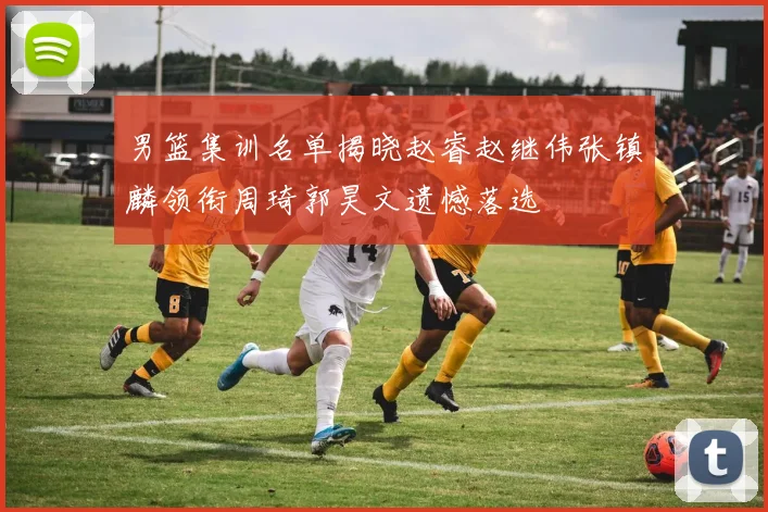 男篮集训名单揭晓赵睿赵继伟张镇麟领衔周琦郭昊文遗憾落选