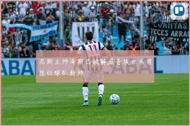 尼斯主帅海斯已被解雇普埃尔或将接任球队新帅
