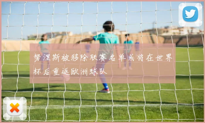 努涅斯被移除联赛名单或将在世界杯后重返欧洲球队