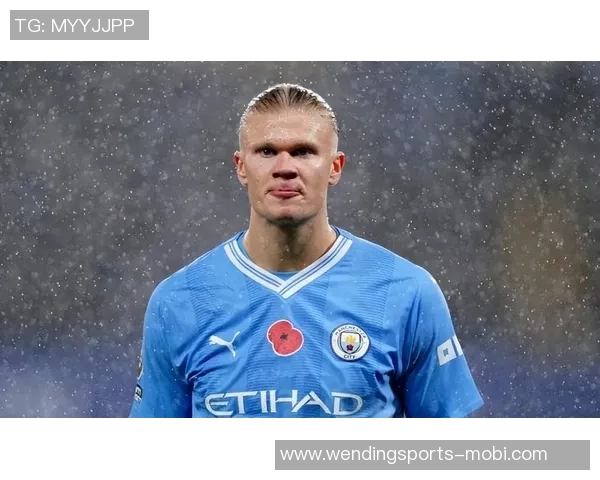 曼城队内射手榜揭晓哈兰德独占鳌头其他球员合计进球数不足其一半